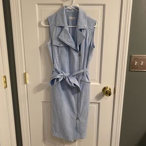 Blue Calvin Klein Dress